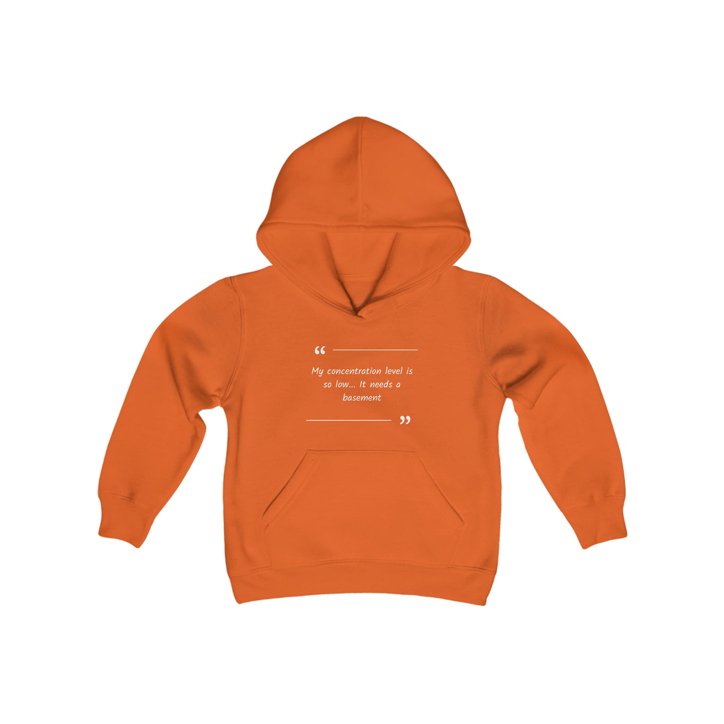 Youth Hoodie: Low Concentration